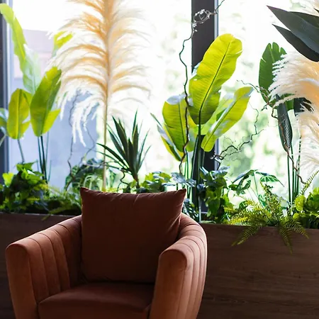 ホテル Levante エフォリエ・ノルド